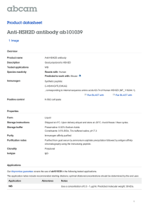 Anti-HSH2D antibody ab101039 Product datasheet 1 Image