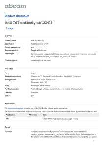 Anti-TdT antibody ab123418 Product datasheet 1 Image Overview