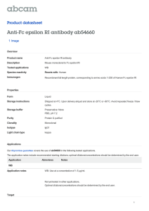 Anti-Fc epsilon RI antibody ab54660 Product datasheet 1 Image Overview