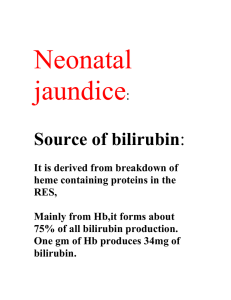 Neonatal jaundice Source of bilirubin