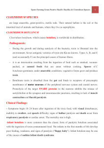 CLOSTRIDIUM