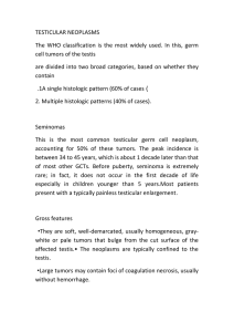 TESTICULAR NEOPLASMS cell tumors of the testis
