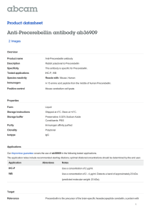 Anti-Precerebellin antibody ab36909 Product datasheet 2 Images Overview