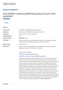 Anti-IFNGR1 antibody [EPR7866] (Alexa Fluor® 647) ab200329