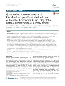 Quantitative proteomic analysis of –fixed, paraffin–embedded clear formalin
