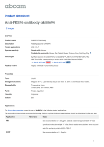 Anti-FKBP6 antibody ab58694 Product datasheet 2 Images