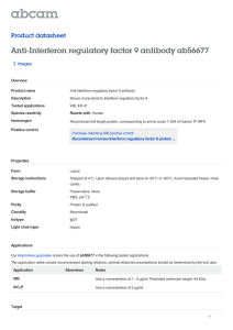 Anti-Interferon regulatory factor 9 antibody ab56677
