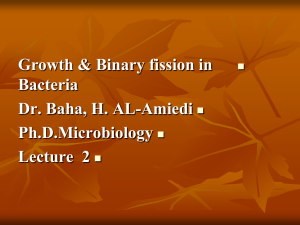 Growth &amp; Binary fission in  Bacteria Dr. Baha, H. AL-Amiedi