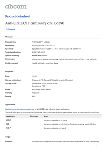 Anti-SIGLEC11 antibody ab106390 Product datasheet 3 Images Overview