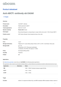 Anti-ABCF1 antibody ab126260 Product datasheet 3 Images Overview