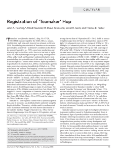 ‘T Registration of ‘Teamaker’ Hop