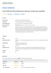 Anti-200 kD Neurofilament Heavy antibody ab4680 Product datasheet 8 Abreviews 6 Images