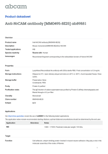 Anti-NrCAM antibody [MM0495-8E25] ab89881 Product datasheet Overview Product name