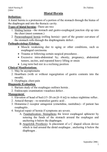 Document12560241 12560241