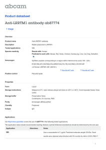 Anti-LRRTM1 antibody ab87774 Product datasheet 1 Image