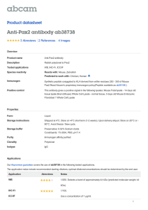 Anti-Pax2 antibody ab38738 Product datasheet 3 Abreviews 4 Images