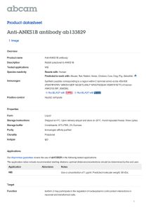 Anti-ANKS1B antibody ab133829 Product datasheet 1 Image