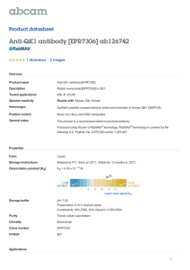 Anti-QK1 antibody [EPR7306] ab126742 Product datasheet 1 Abreviews 2 Images