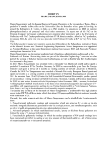 SHORT CV MARCO SANGERMANO