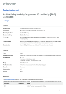 Anti-Aldehyde dehydrogenase 10 antibody [2A7] ab123910