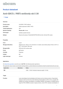 Anti-GRC5 / PHF2 antibody ab1138 Product datasheet 1 Image Overview