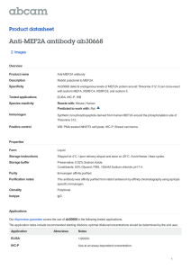 Anti-MEF2A antibody ab30668 Product datasheet 2 Images Overview