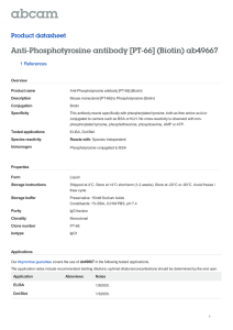 Anti-Phosphotyrosine antibody [PT-66] (Biotin) ab49667