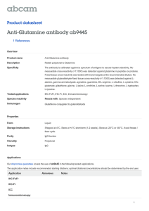 Anti-Glutamine antibody ab9445 Product datasheet 1 References Overview