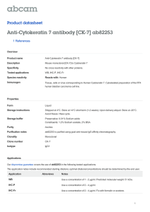 Anti-Cytokeratin 7 antibody [CK-7] ab82253 Product datasheet 1 References Overview