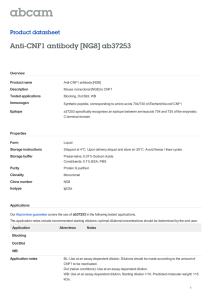 Anti-CNF1 antibody [NG8] ab37253 Product datasheet Overview Product name