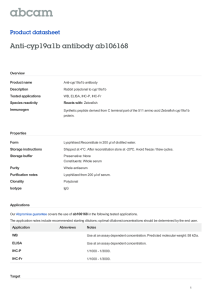 Anti-cyp19a1b antibody ab106168 Product datasheet Overview Product name