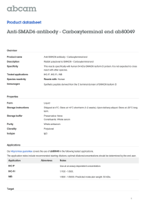 Anti-SMAD6 antibody - Carboxyterminal end ab80049 Product datasheet Overview Product name