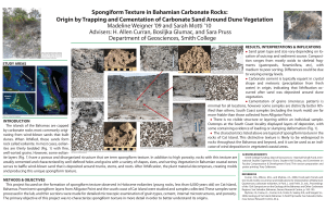 Spongiform Texture in Bahamian Carbonate Rocks: