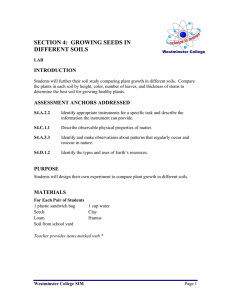 SECTION 4:  GROWING SEEDS IN DIFFERENT SOILS INTRODUCTION