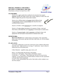 ROCKS, FOSSILS AND SOILS SECTION 5: ENRICHING THE SOIL STANDARDS: