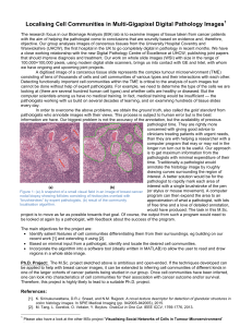 Localising Cell Communities in Multi-Gigapixel Digital Pathology Images