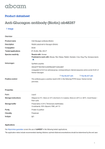 Anti-Glucagon antibody (Biotin) ab48287 Product datasheet 1 Image Overview