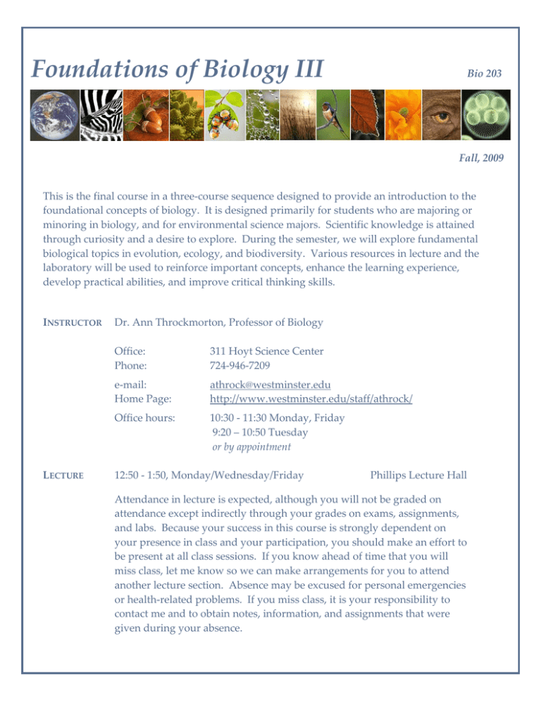 Foundations of Biology III