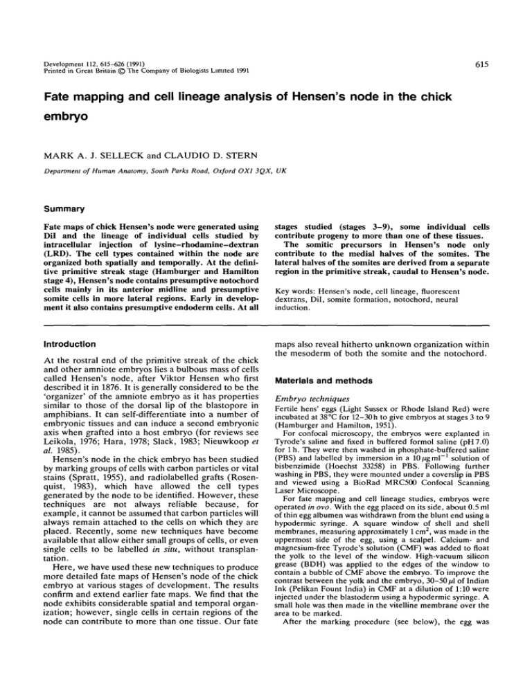 Fate mapping and cell lineage analysis of Hensen's node in... embryo