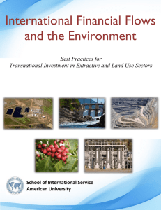 International Financial Flows and the Environment  Lessons learned from Case Studies of