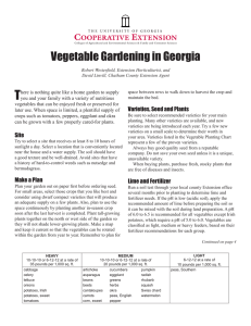 T Vegetable Gardening in Georgia