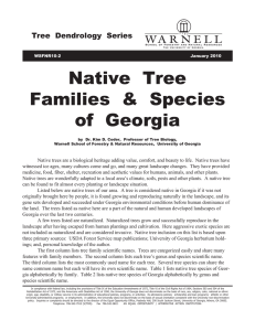 Native  Tree Families  &amp;  Species of  Georgia