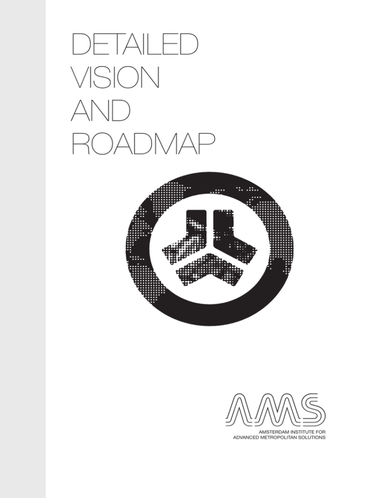 DETAILED VISION AND ROADMAP