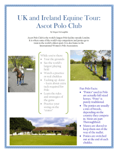UK and Ireland Equine Tour: Ascot Polo Club