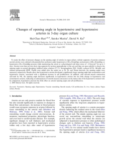 Changes of opening angle in hypertensive and hypotensive Hai-Chao Han