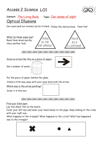 Access 2 Science LO1 Optical Illusions Our sense of sight
