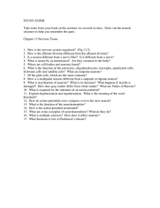 STUDY GUIDE  structure to help you remember the parts.