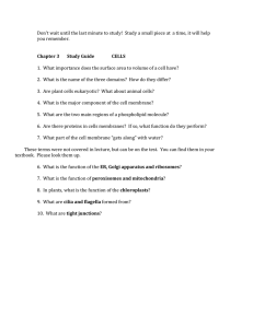 Document13026491 13026491
