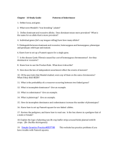 Inheritance Patterns Study Guide: Genetics Review