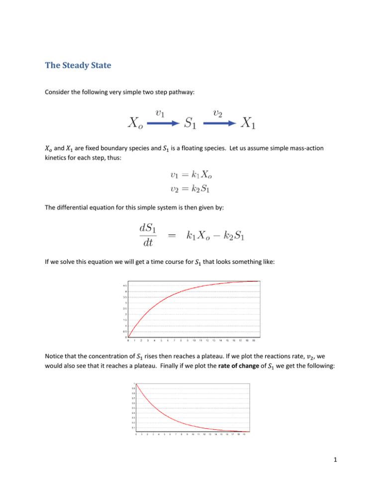 the-steady-state